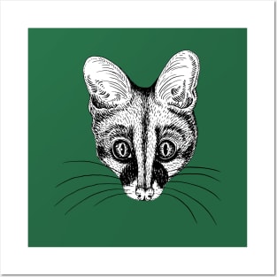 Genet Portrait Posters and Art